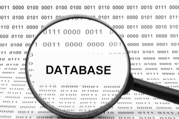 BASE DE DATOS ¿Como sacar el máximo partido de tus clientes?